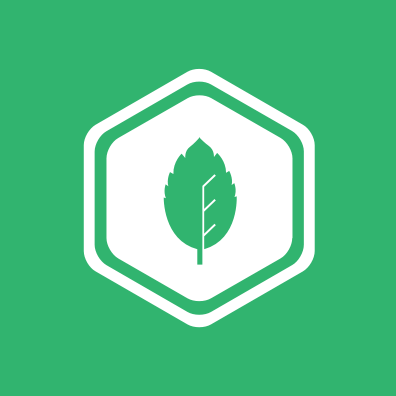 logo mint